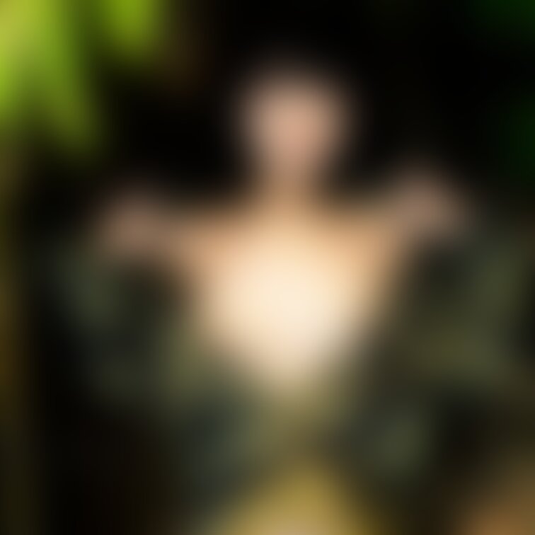 先日の写真をAiで盛ってみました
