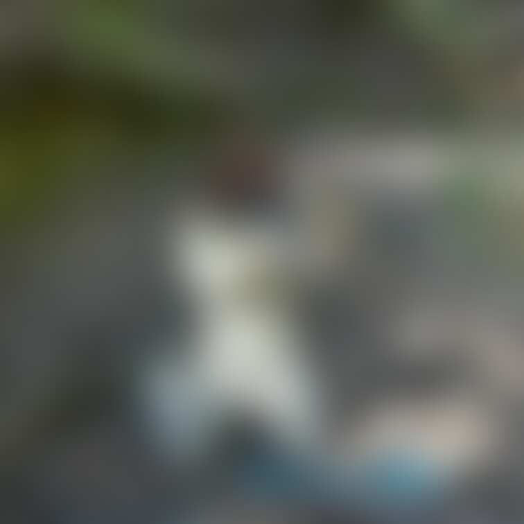 ミリタリーコスと言えばやっぱりライフルですよね？