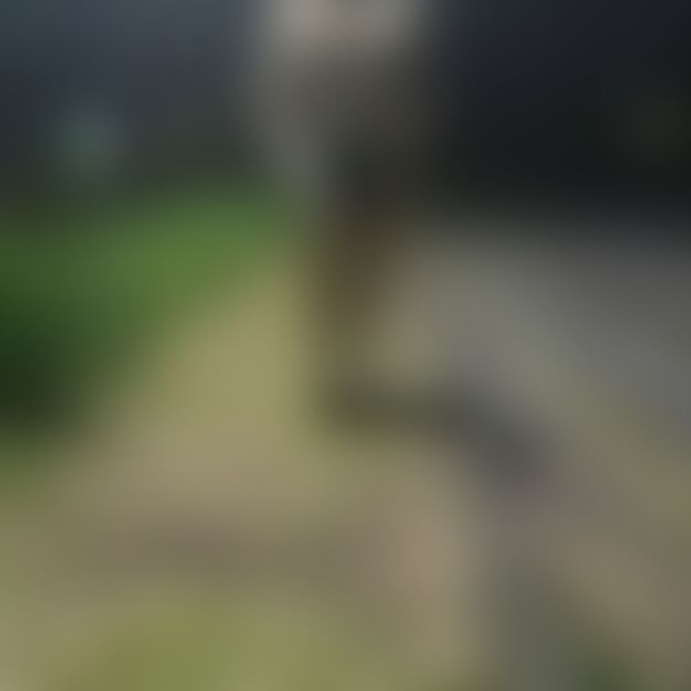 深夜の公園にて
コートの下はカップレスブラ
ブラウス全開にして
乳輪、乳首を通りに向けて
晒す巨乳OL