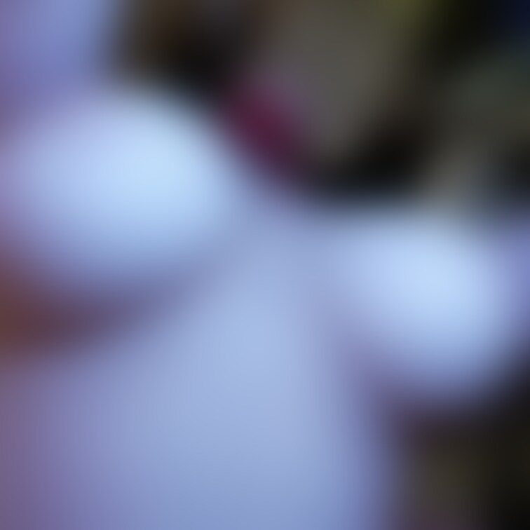 ●名門女学院大1年 Gカップ美咲ちゃん○○○#2 生粋のお嬢様にアイマスク＆リード付けて種付け2連発！
https:/