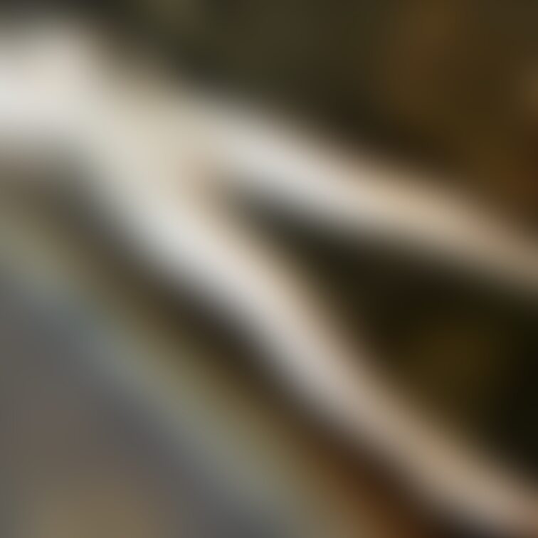 細い脚と
太い脚
どっちの方が好きですか?🙄