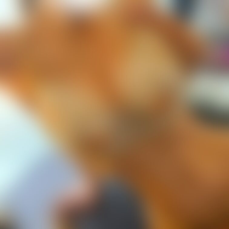 サルートでパシャリ📸❤️