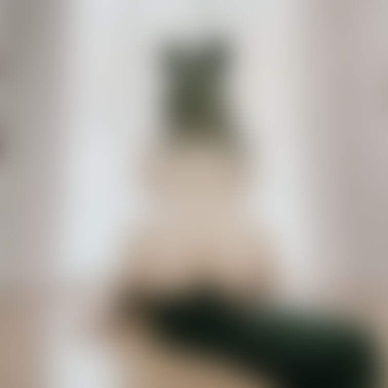 仔猫