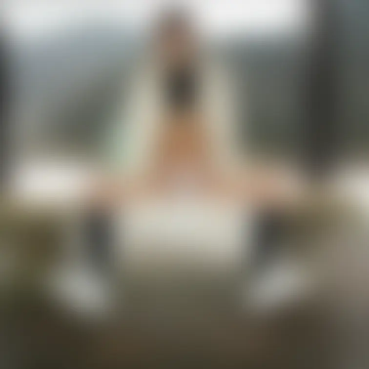 ボツ画たち
完全なダメ写真ではなく、もっと良いのが撮れていたから公開しなかったというボツもあります。