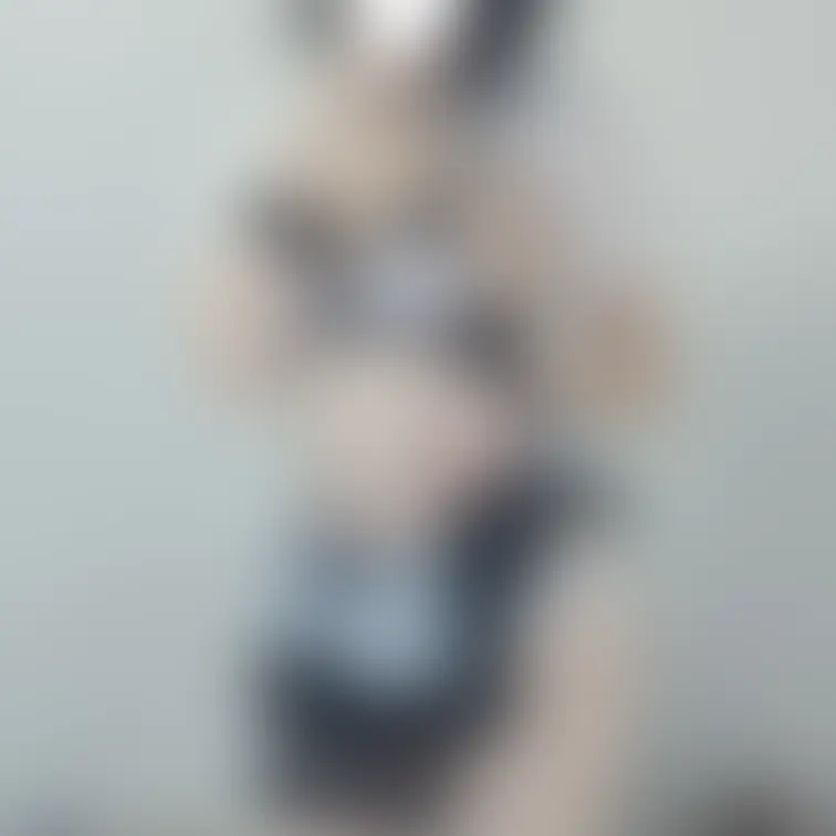 🐼ᡣ𐭩⸒⸒