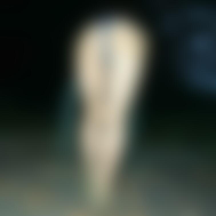 夏の忘れ物画像見つけた！

夜のお尻🍑