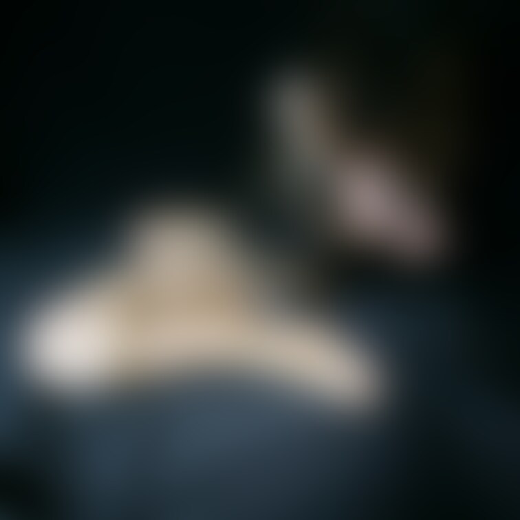 同じ縛り方なのに吊るしたり降ろしたり転がしたり
座らせたり
あちこち引っ張られテンション変わって朦朧とする