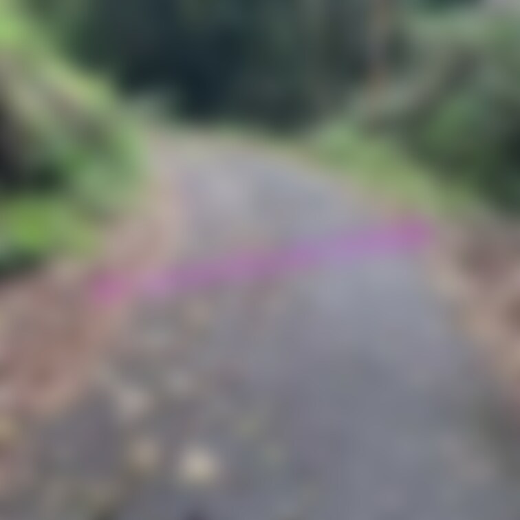 《山道でお散歩》
山道の途中で全裸で降ろし、車まで全裸で歩いてきてもらいました😊

ゆきの一言
山道だったけど何