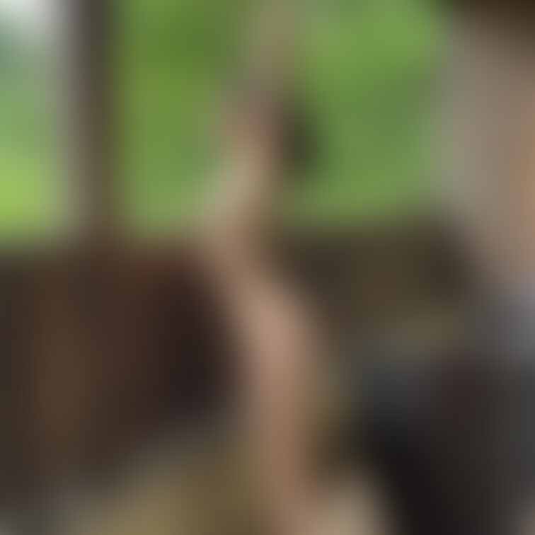 石のお風呂のベランダ無加工写真。

無加工で緑がこれだけ綺麗ってすごくない？✨

私は海よりも山派かなぁ笑⛰️