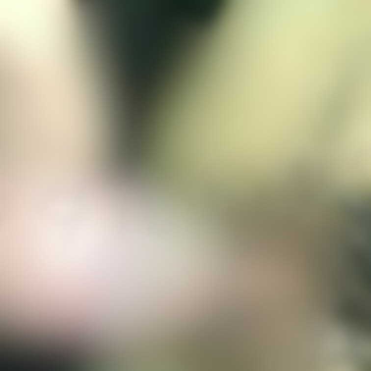 まやちゃんのハメ撮り5‪‪❤︎‬
ちんちんをおまんこに擦り付けられ感じるまやちゃんに焦らしプレイ🤤