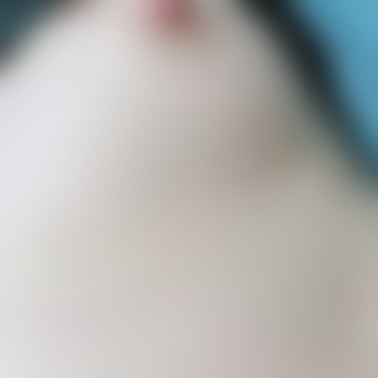 今日は肌寒くて乳首立ってる🫣🫣