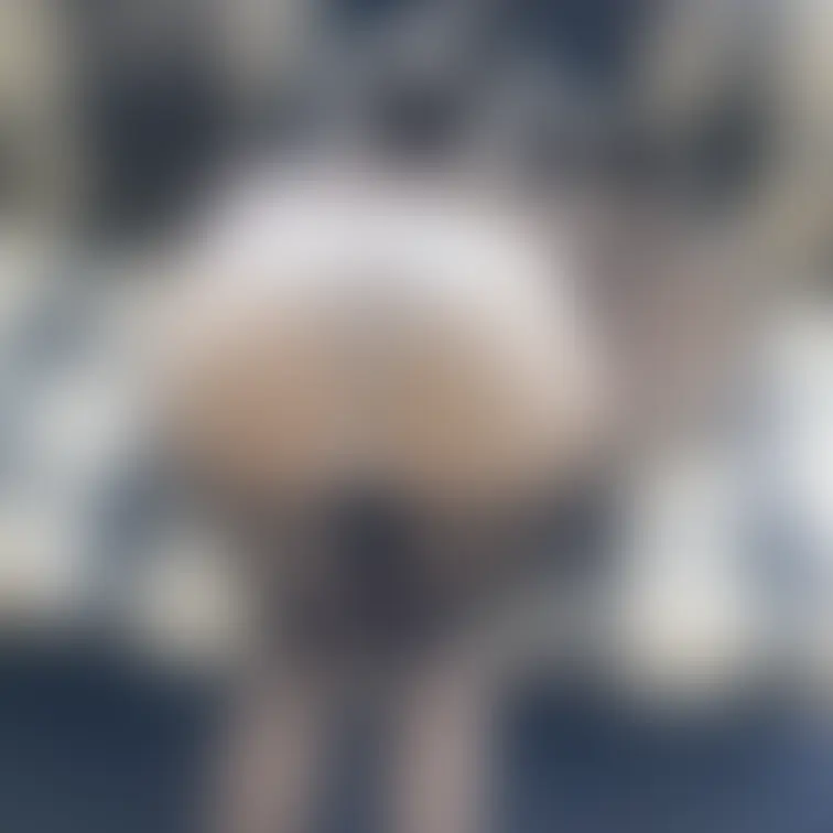 着たままするのってえっちだよね💕
好きな人いますか？