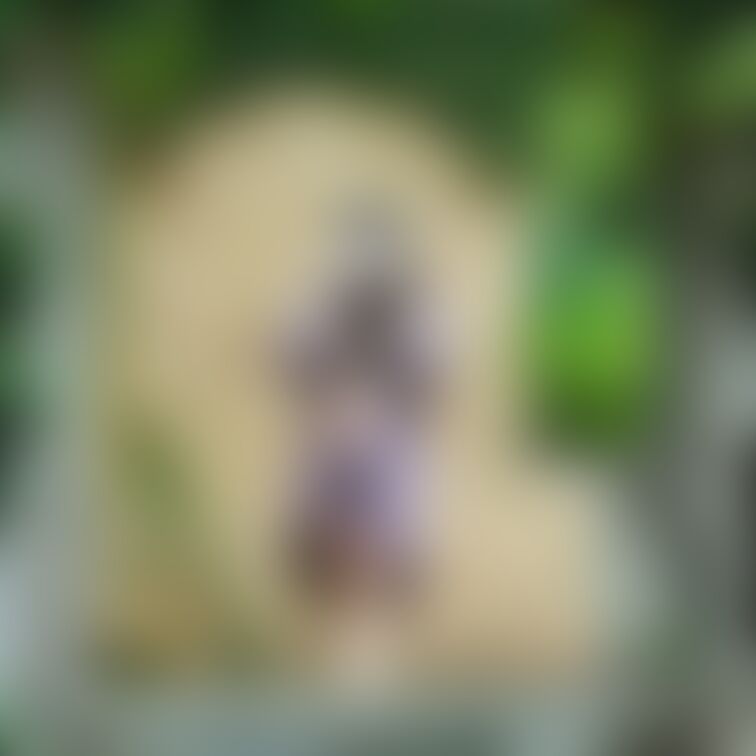 拡大して見てください