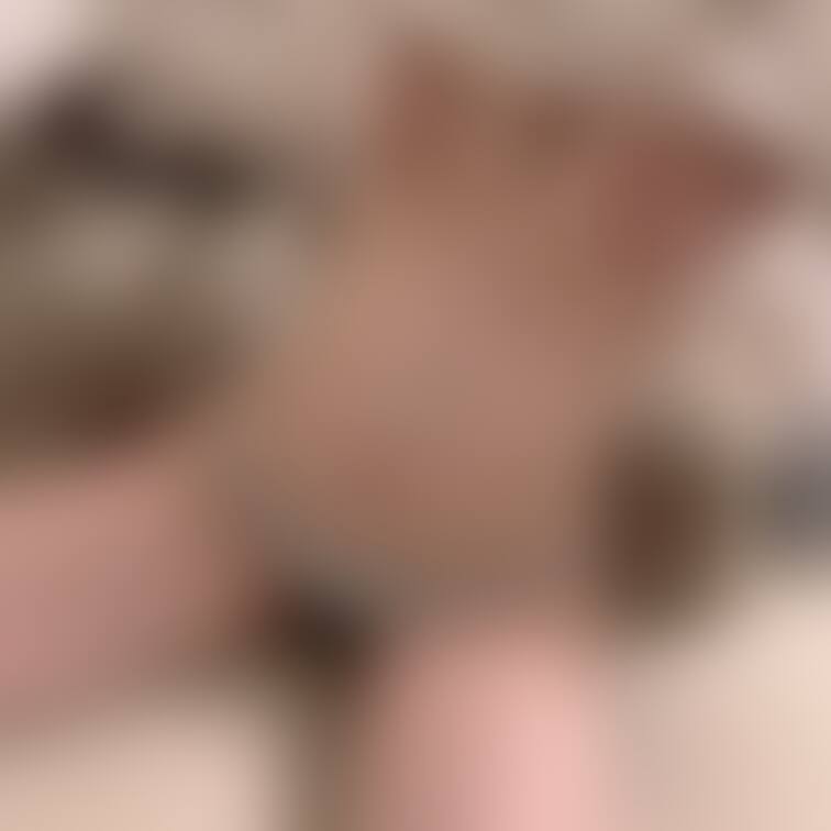 ビフォーアフター🐶