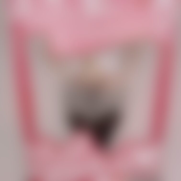 今日はauneさんのレセプションパーティにお伺いさせて頂きました☺︎

