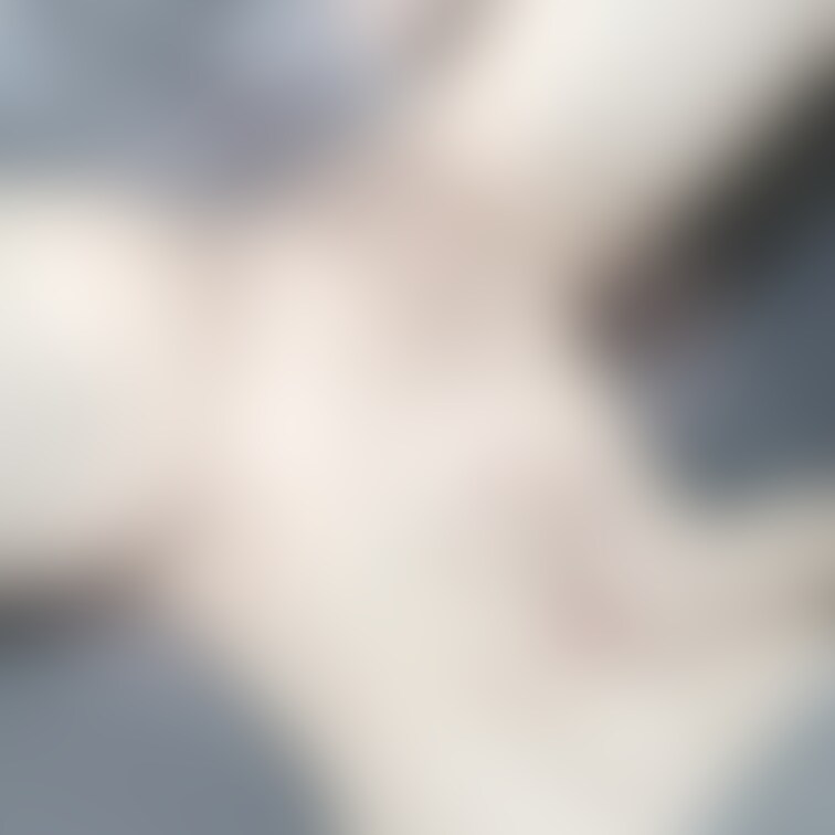 局部好きな人向け