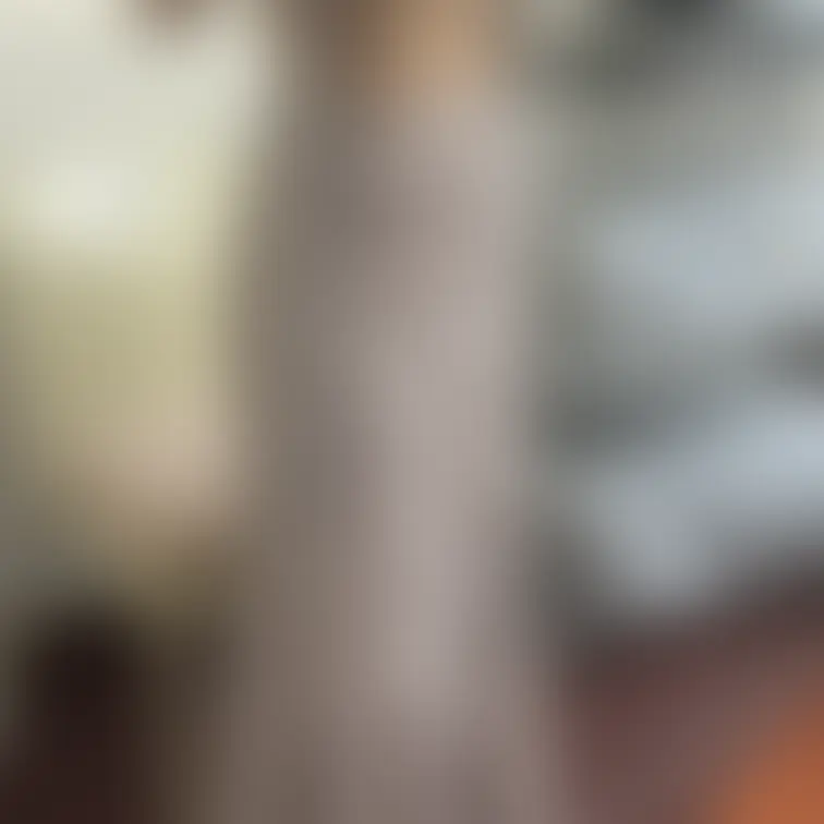 5月6日の面接風景ひとみの場合

彼女の場合はランチの会話でも説明しておりましたので、当然ヌードになってもらいスタイ