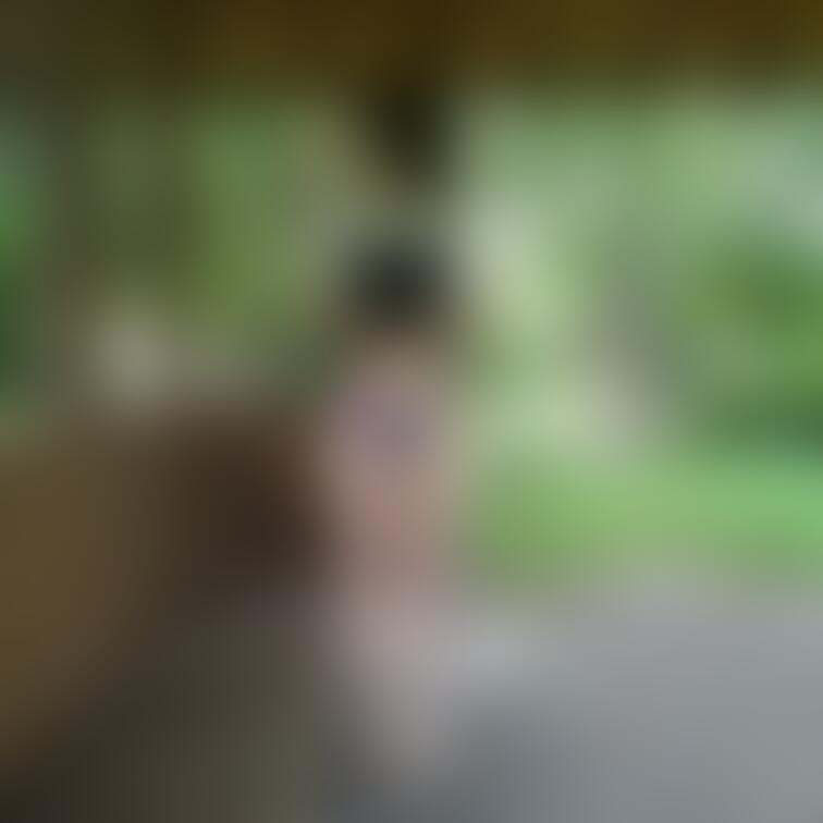 新シリーズ準備してる間に露撮りの写真をご覧下さい。
公園の東屋、ト◯レ、野球場で撮影してます