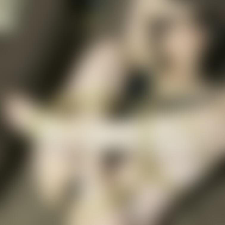 あかねさん個人撮影会にて3
お尻がとにかく綺麗
