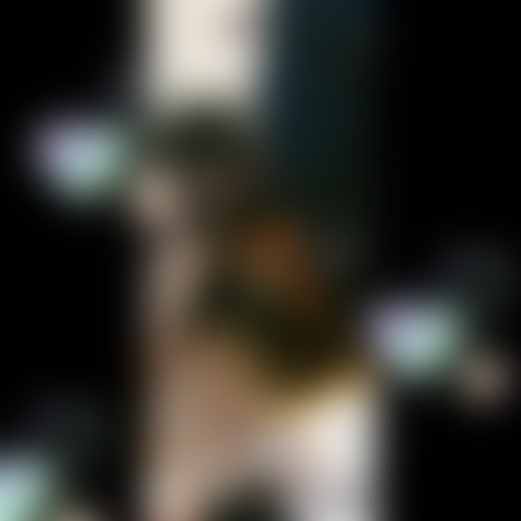 🎉にゃんにゃんの日🎉

になです！✨
⭐️いいね⭐️ 押して応援してくれると喜びます⭐️✨

になの画像の掲載