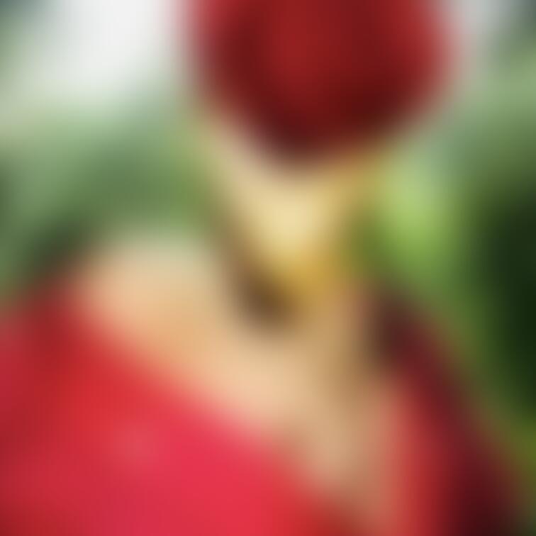 熟女の胸の近影
許してくれますか
