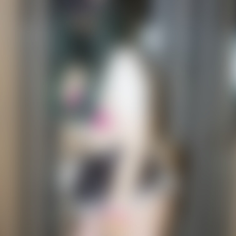 コスホリでサイバーメイドちゃんでいました。

お疲れ様でした🙋‍♂️