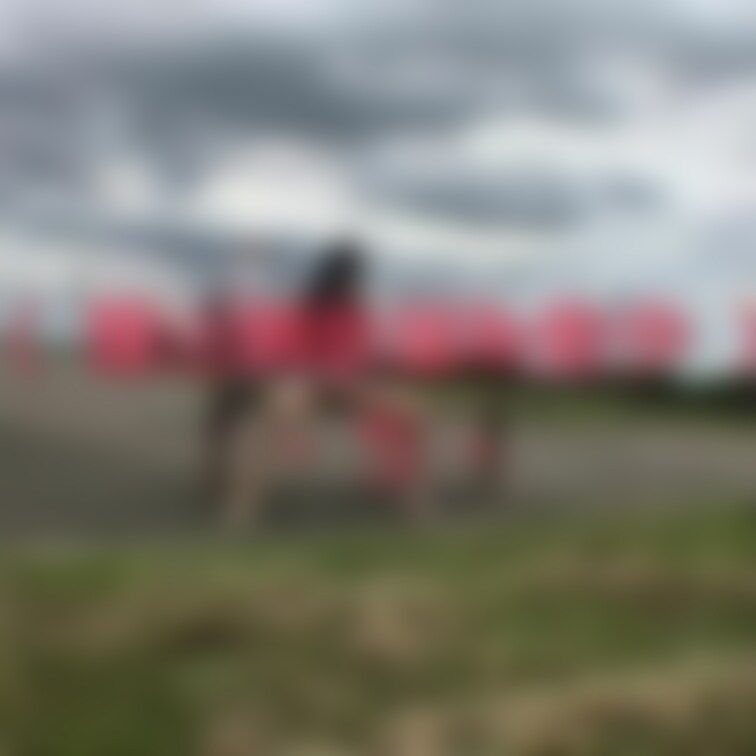 露出○○○羞恥散歩 5

見晴らしの良い公園の広場で、Twitterのフォロワーさんと約束をした野外オナニーを1人で