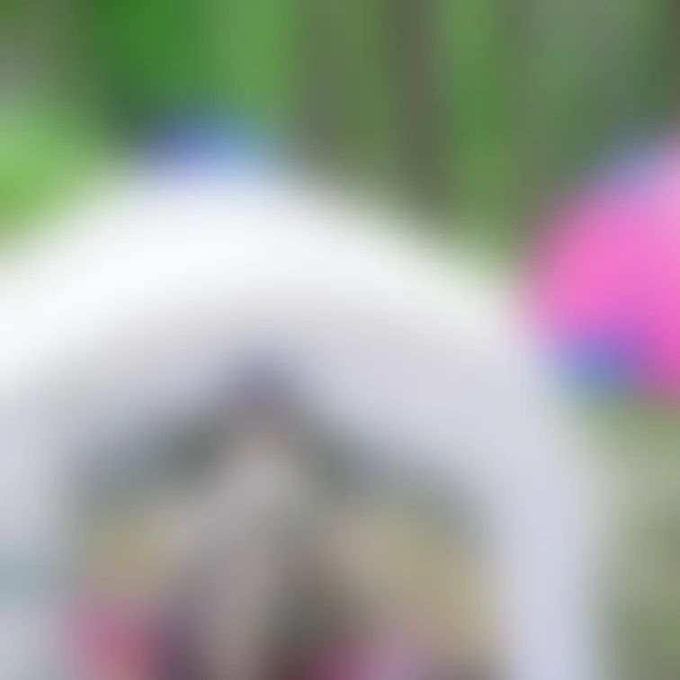 プライベートキャンプのスタンプなしバージョンだよ☺️
 動画もみれるからみてみてね💓