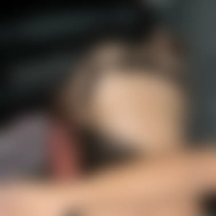 セフレに呼び出され、公衆トイレの中でフェら奉仕した時の写真です✌️
通行人に見られながらの露出は最高に興奮しました🤗