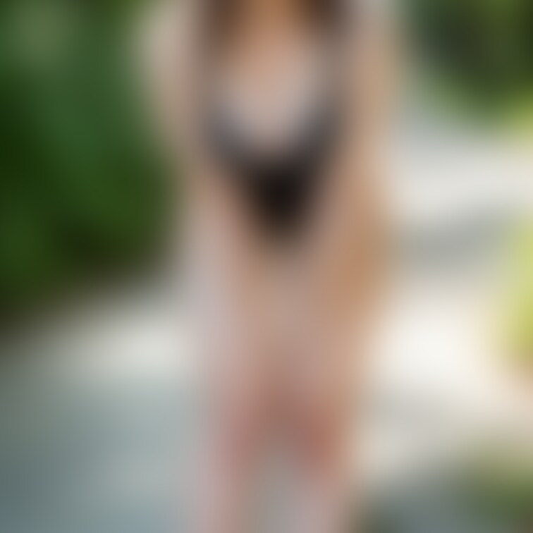 【M】No.143 ピンナップモデル5枚
支援者の皆様、こんにちは。
本日の更新の画像です。
楽しんで貰えたら