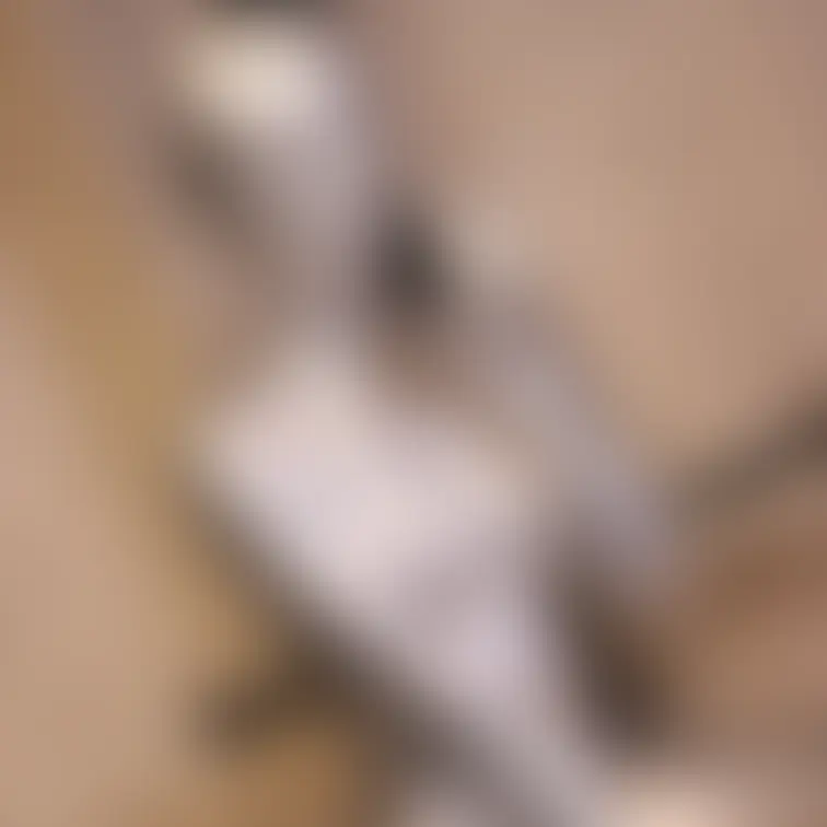 【あの超かわいいアイドル級美女のセクシー銀粉メッシー】
 これまで数回色々なメッシーに挑戦してきてくれたアイドル級の美