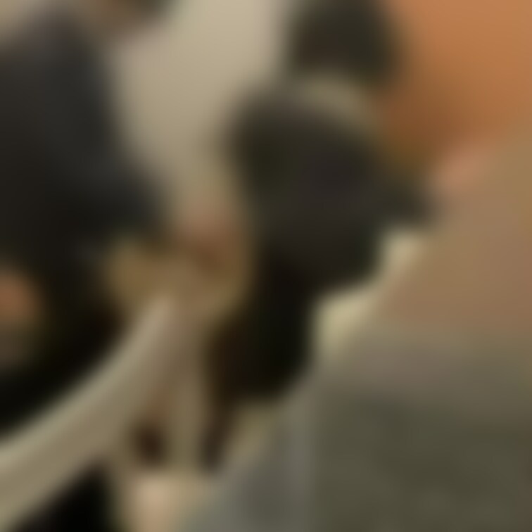 🍎お外でいろいろ🍎

お外でいろいろしてる動画詰め合わせです。
