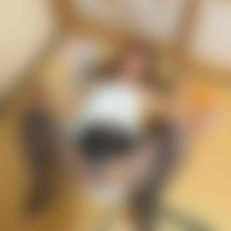 イタズラしちゃう..?🫣