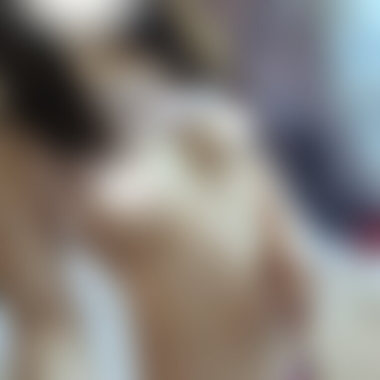 Xに投稿した写真です😉
無料プランで見れます♡
