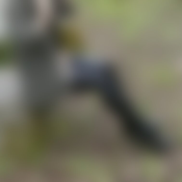 あけましておめでとうございます。
暮れから体調不良で新年早々寝込んでいました…
完全復活にはまだまだですが、頑張って