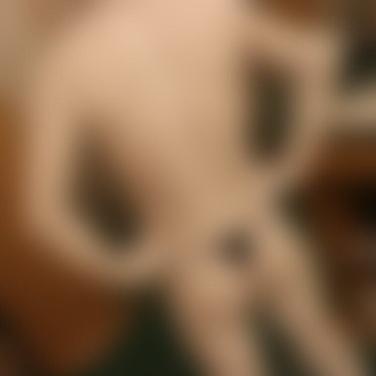 【イケメンペイント】
 メッシーを嫌がる友達にペイントを塗りました！
 ゴールドプランでは大量に写真を公開します！