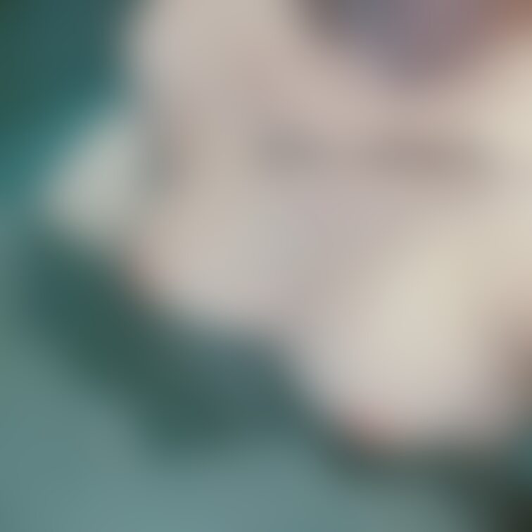 とりあえずチチ乗せてみたw

やっぱり左の方が大きいなぁ🥺
こんなおっぱいでも許して🥺
