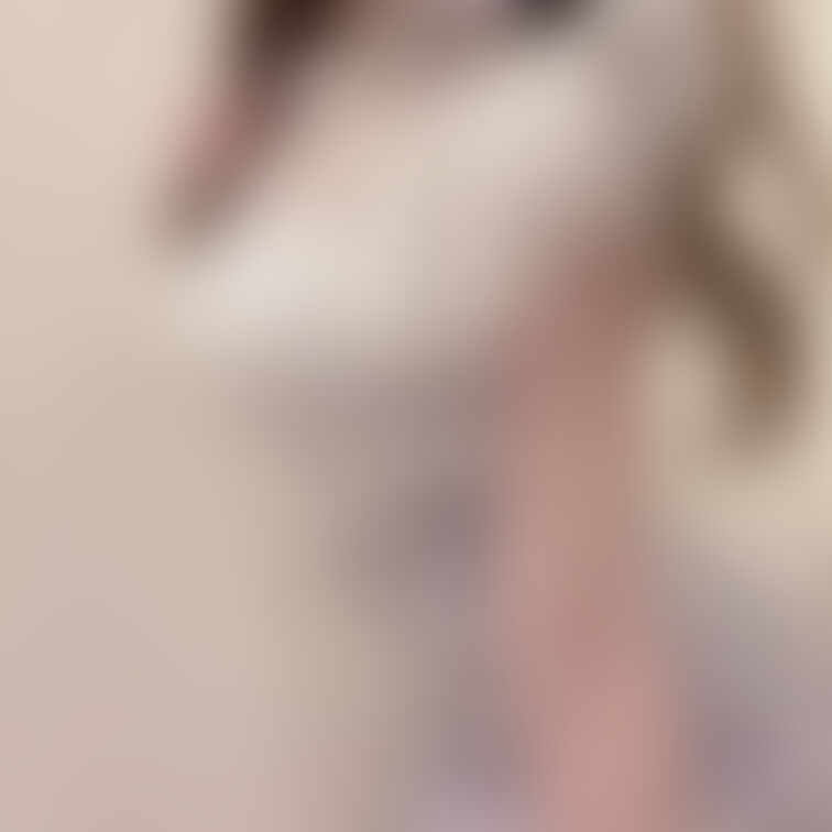 【透け乳首‎🤍20代美容○員のリアル私服‎】

昨日無料プランで投稿したと思ってたのに公開プラン間違ってました🥺💦