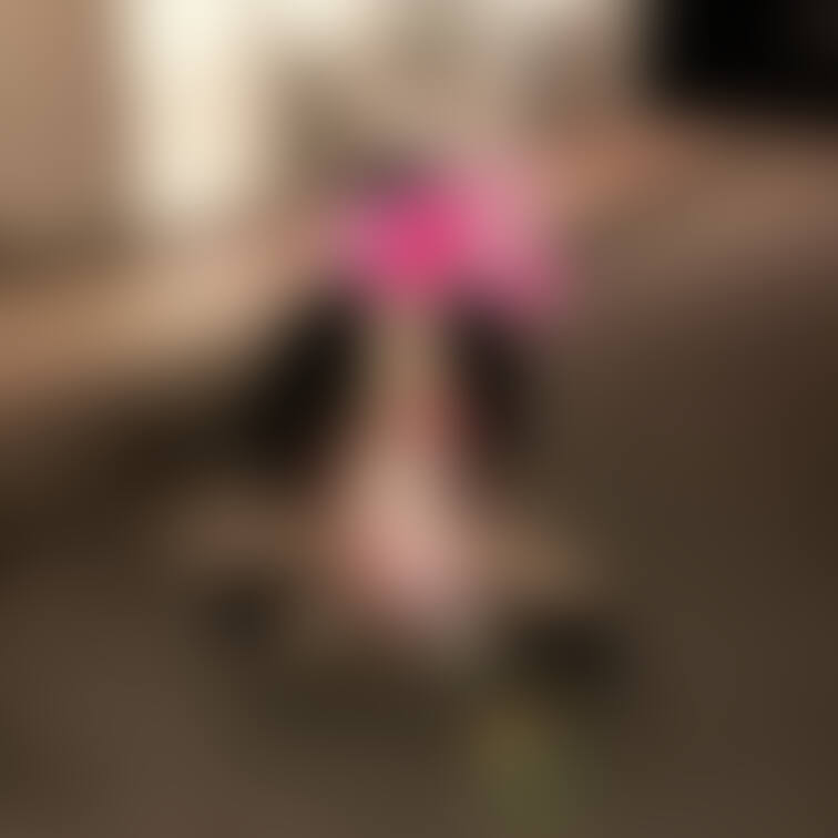 ❤️神様降臨❤️
毎月、ご継続🩵ありがとうございます🥰🩷
毎月めちゃくちゃ嬉しいです☺️
神様過ぎます
お優