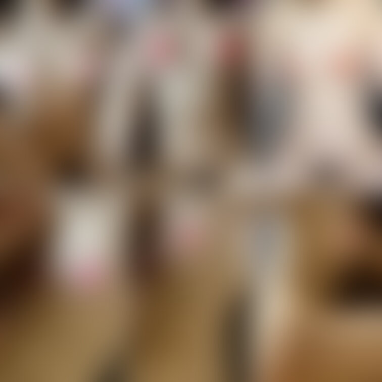 近々これの動画あげます❤️
お楽しみに😘