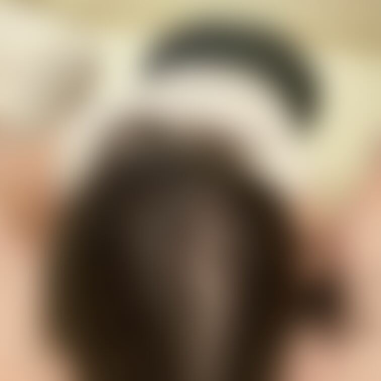 🪸分け目シリーズ🪸

