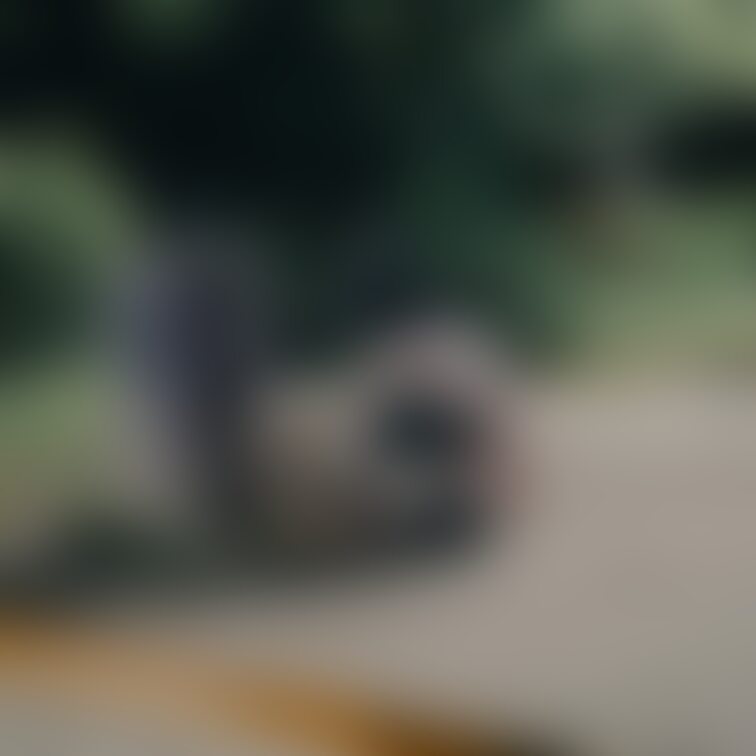 深夜露出②
公園