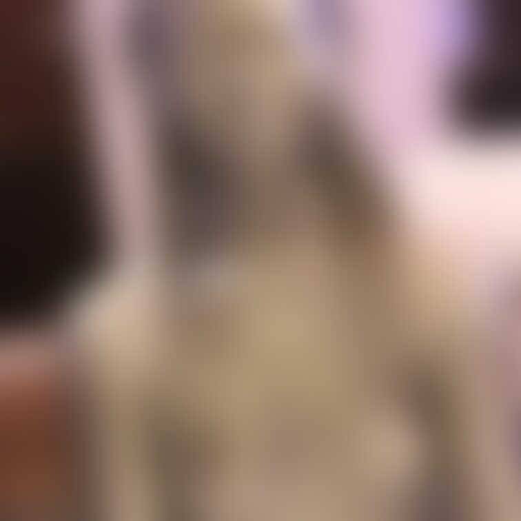 【美少女銀粉モデル】
 スレンダーのアイドル級モデルが銀粉まみれになってくれました！
 最初は髪を銀色にするのも嫌が