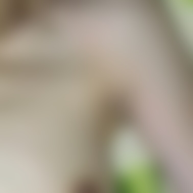 感度はいいです☺︎
