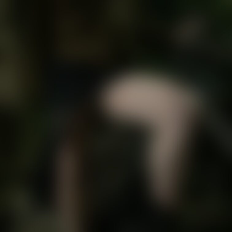 パート2

夜公園露出
下version
この日は女の子😍DAYだったから特別仕様おぱんつ💜でもコレがイイ😍