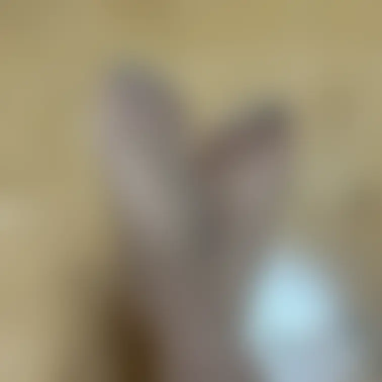 過去画