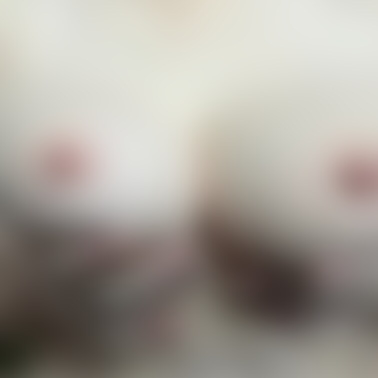 おはようございます❤️

今日もふわふわなおっぱいです🥰