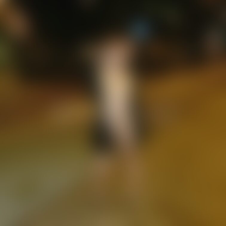 このような写真が見れます。