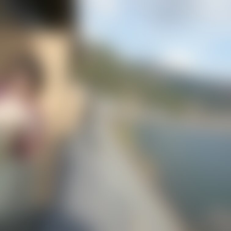 道路走る車からも
歩行者からも
船とかからも見られ放題で何回も目合ったりしてたけど楽しかった☺️