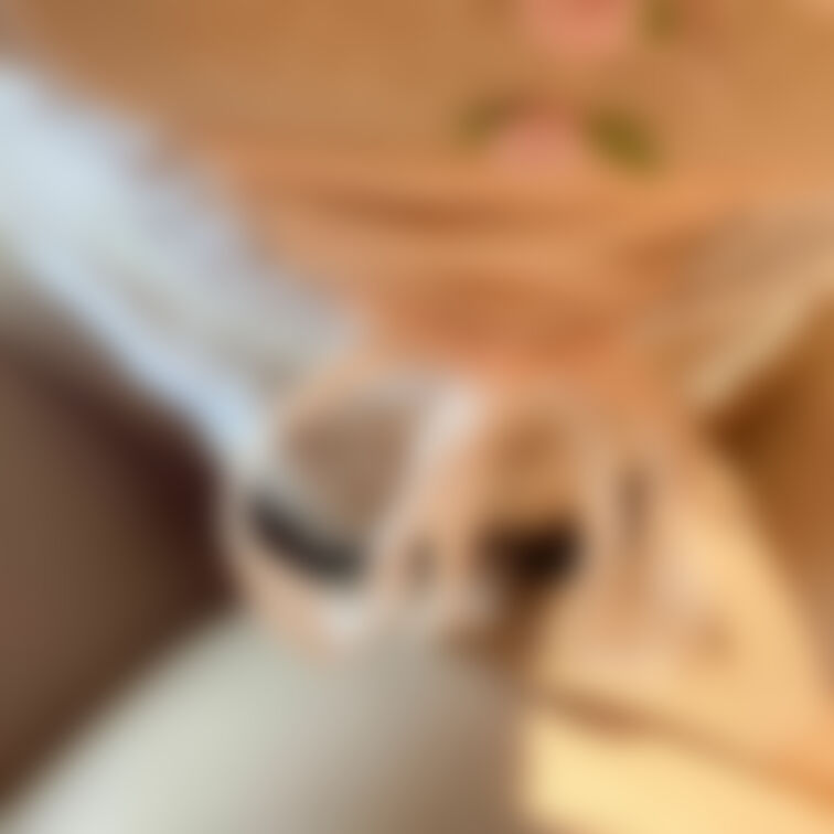 発情期ウサギの正常位ハメ撮り！本当はこの後に中出しおせっくすしたのですが…「だめきもちよすぎるからこれ以上撮影できない」